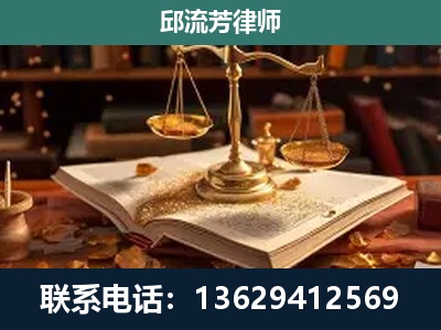 平果-新型网络犯罪