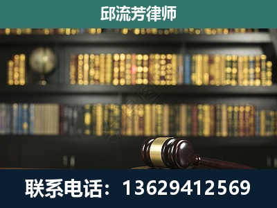 平果-经济类案件